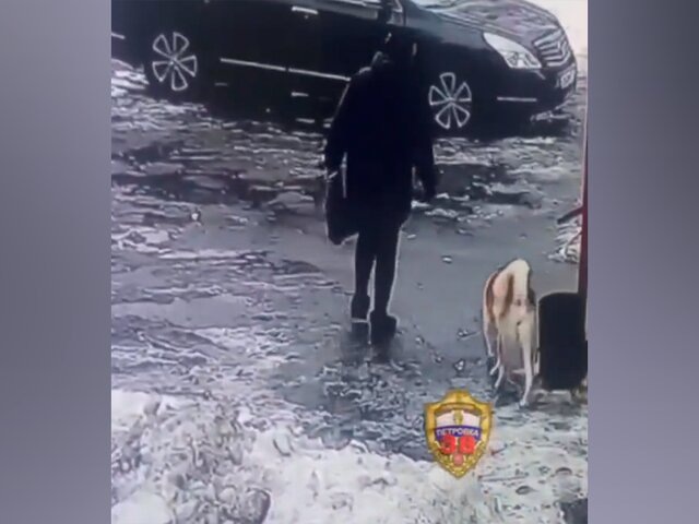    Фото: МАХ/"Петровка, 38"