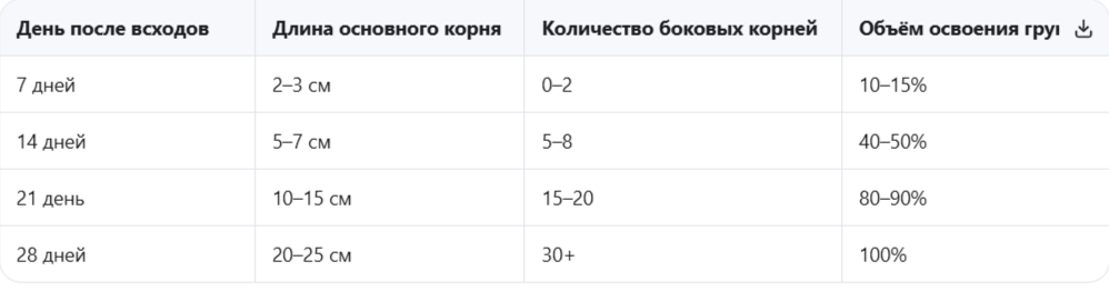 Динамика роста корней