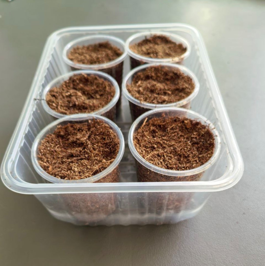 Уровень грунта под края ёмкостей, для петуний. 