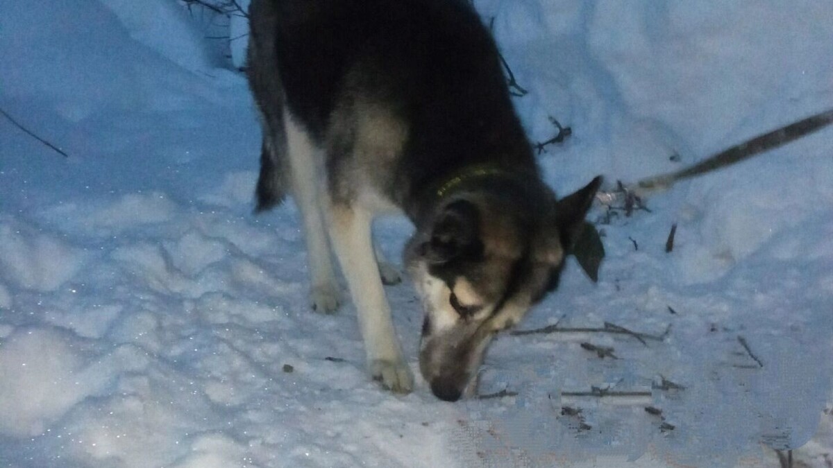   Варвара Васильева / udm-info.ru