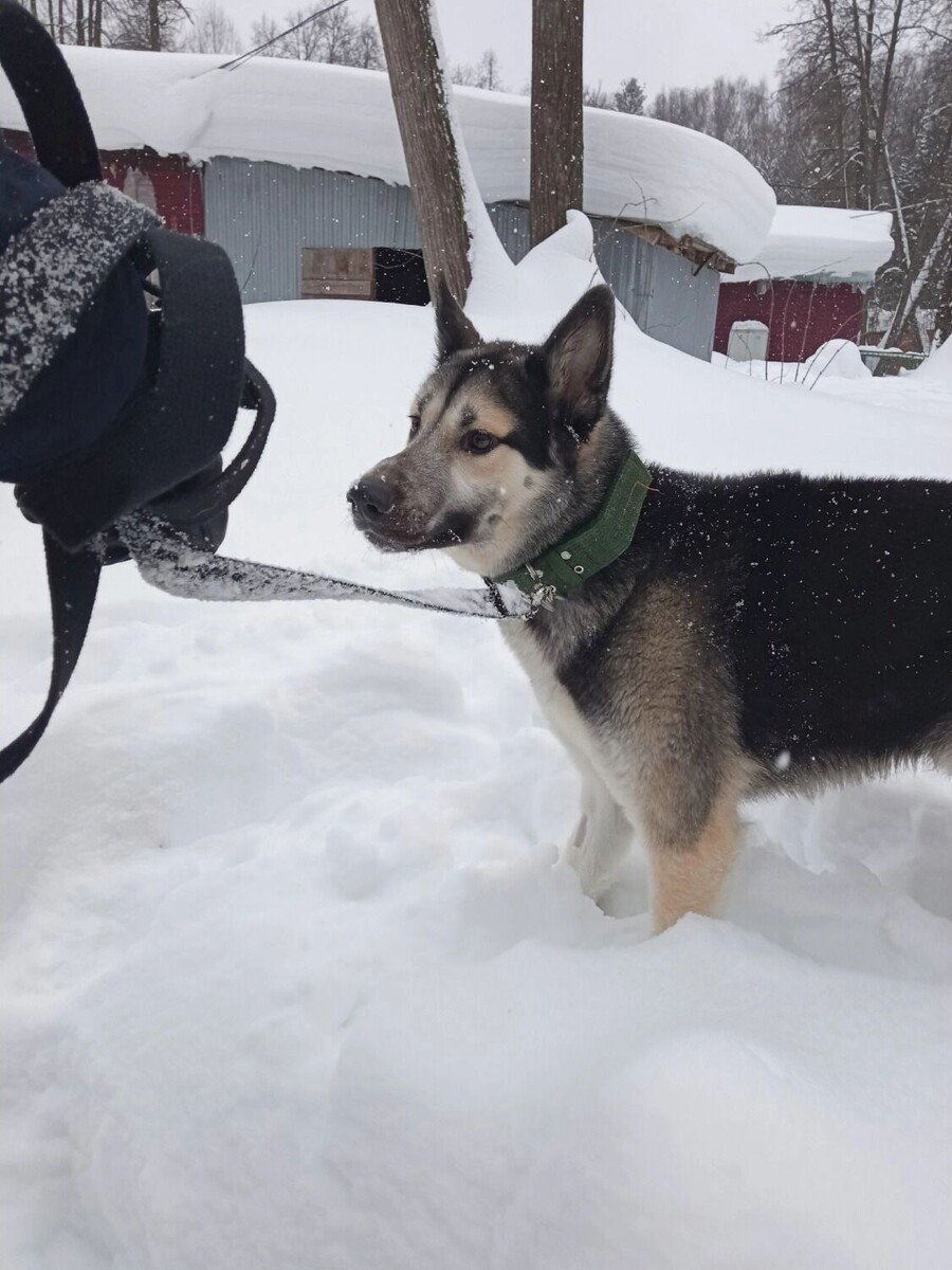   Варвара Васильева