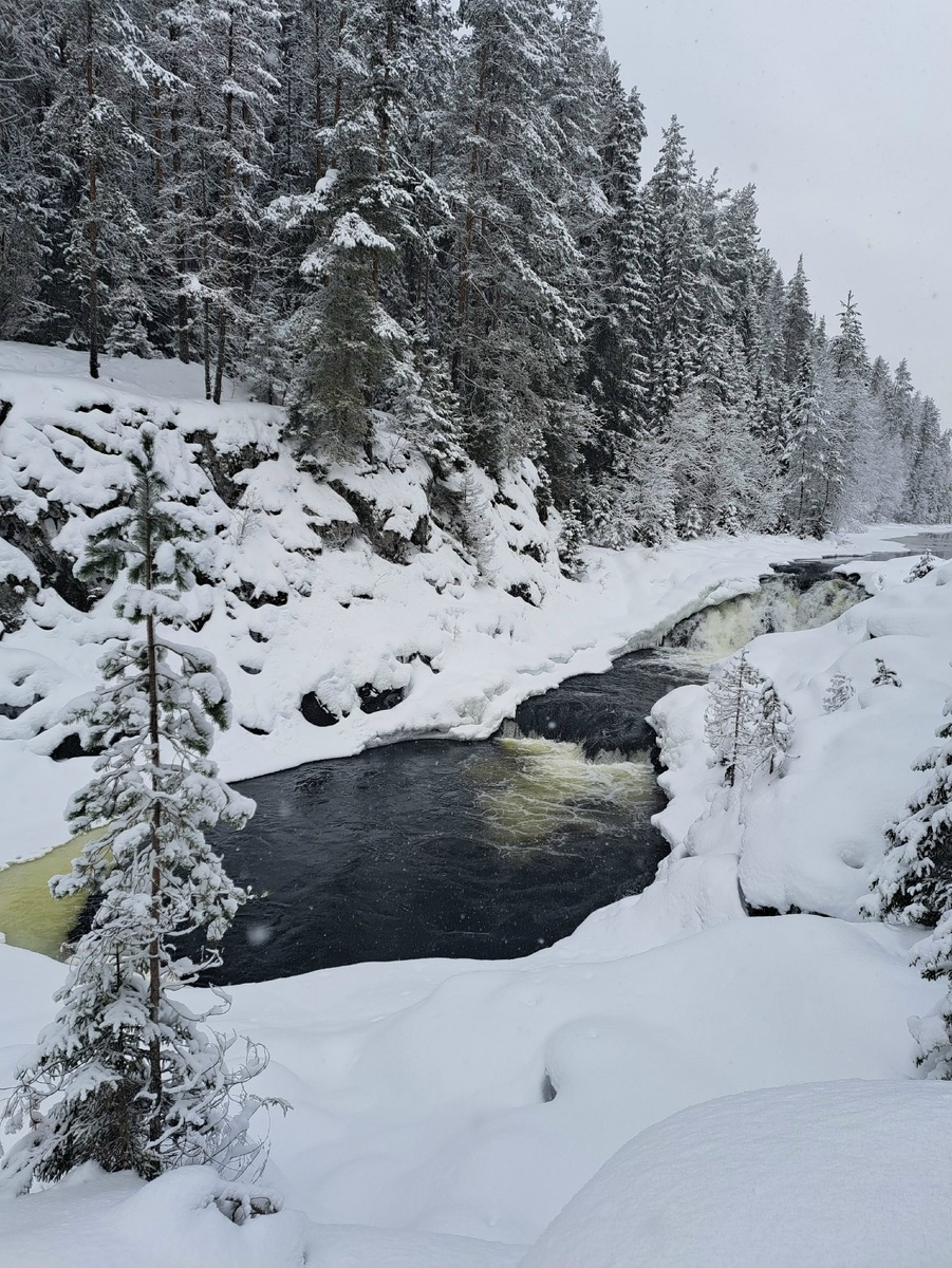    специалист заповедника «Кивач» Даша Шаудвите