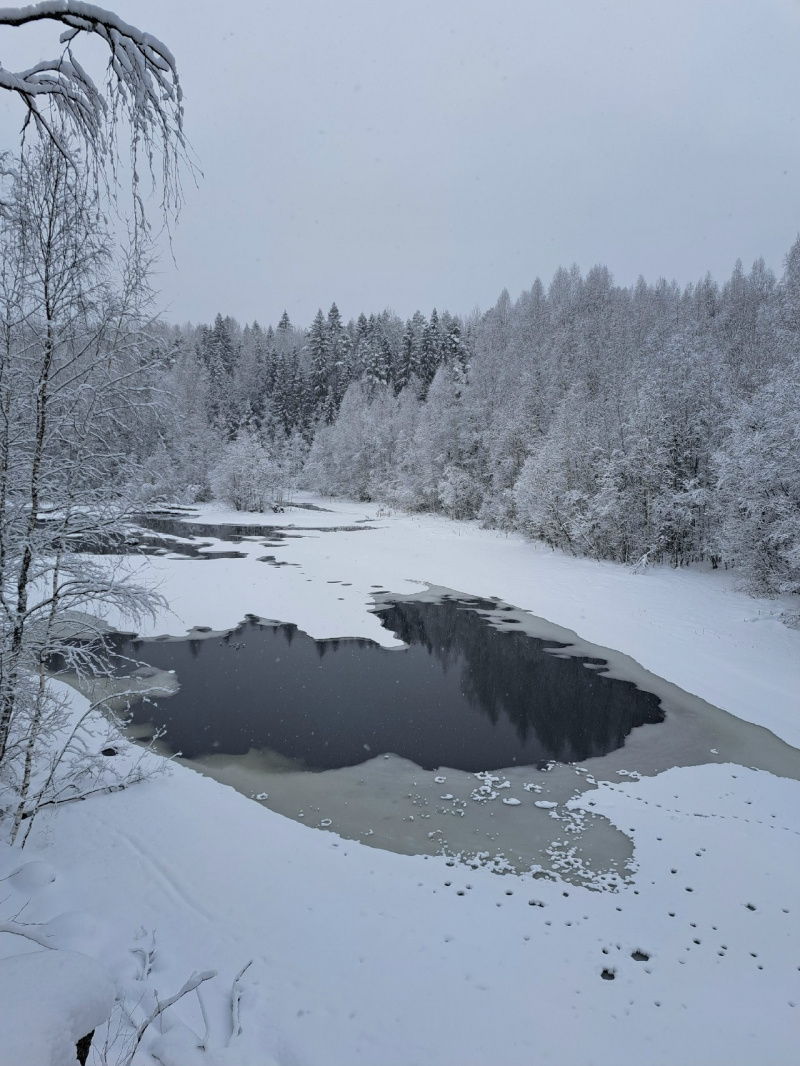    Водопад Кивач в Карелии освобождается ото льдаспециалист заповедника «Кивач» Даша Шаудвите