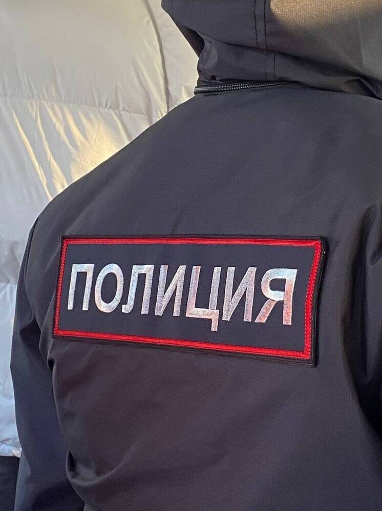   Елена Полякова