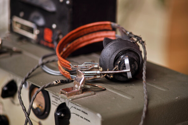 Zhuravlev Andrey/Shutterstock/FOTODOM   📷