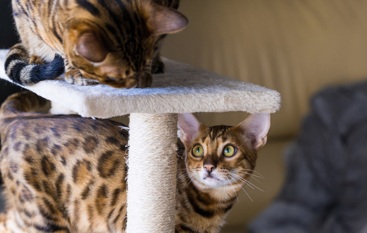 Photo_Olivia/Shutterstock/FOTODOM