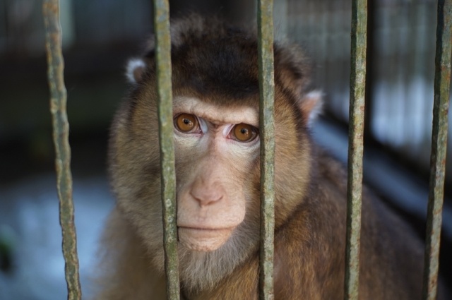    Фото: Shutterstock.com/ ads.space