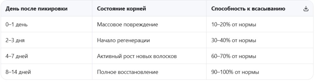 Стадии восстановления корней