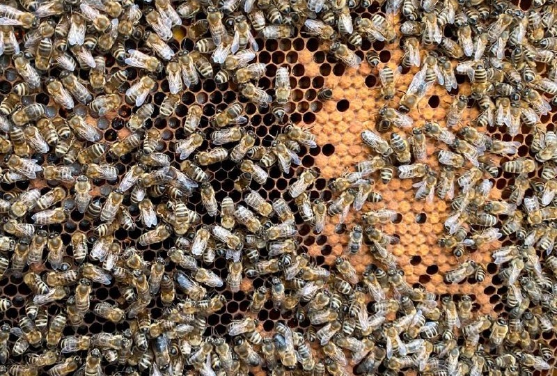 Разговор о неподходящем времени