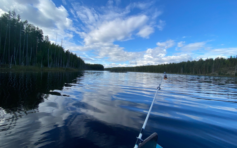     «Фактор Новости»