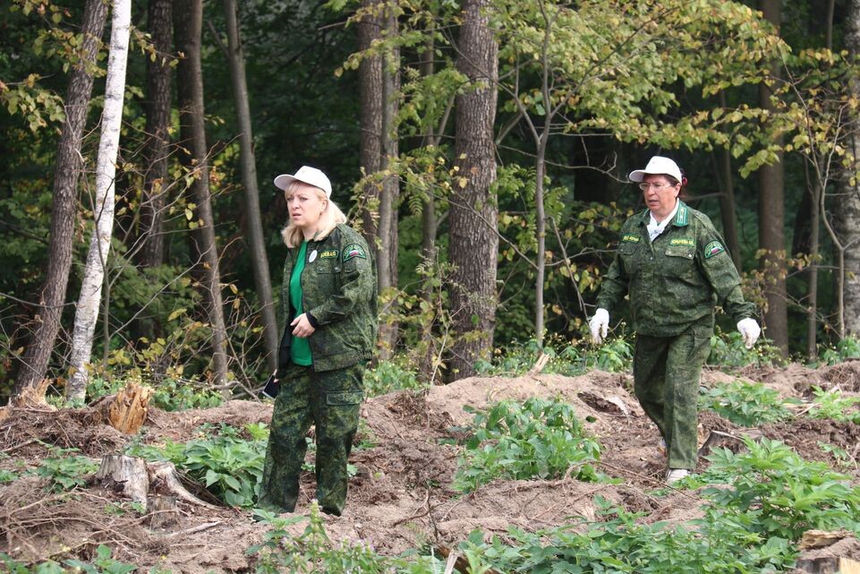     Медиасток.рф