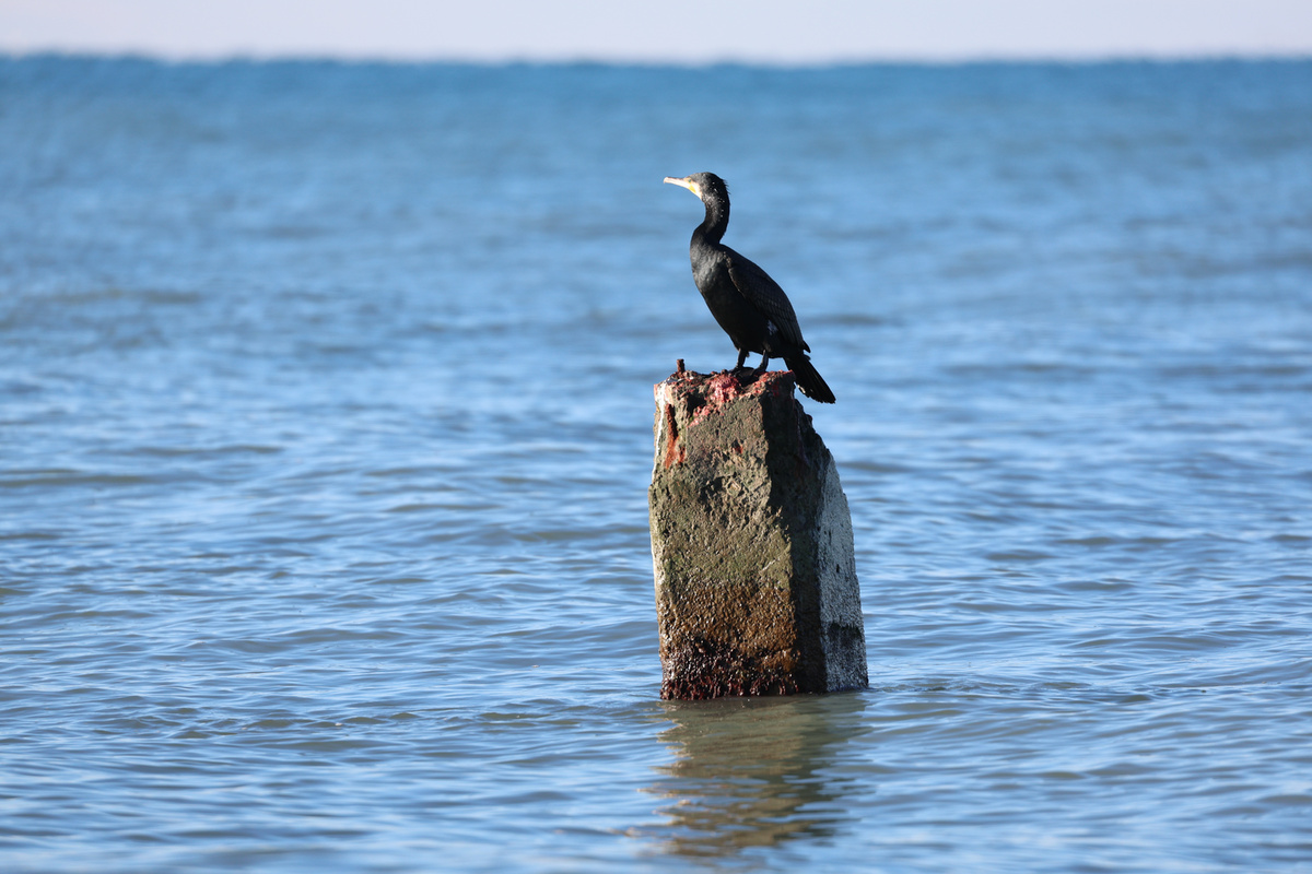     Дмитрий Феоктистов/ТАСС
