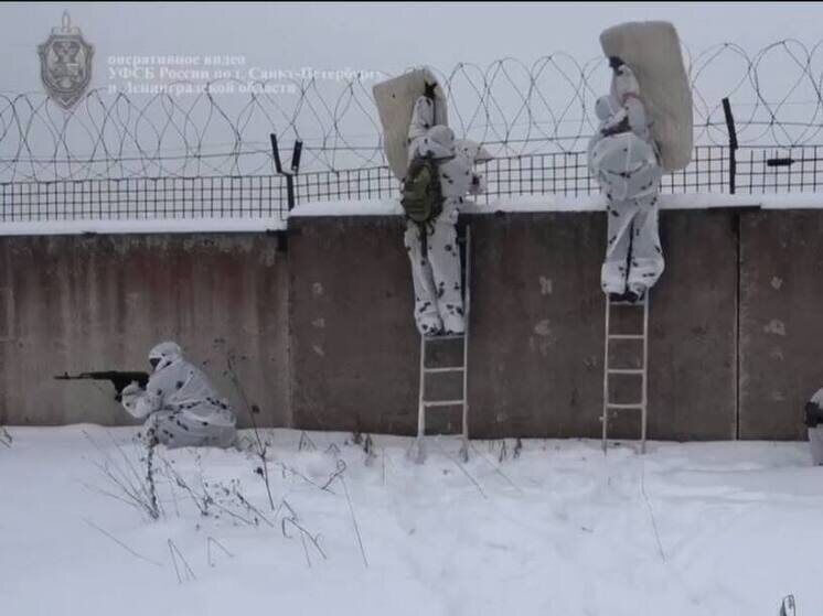     Во время учений аэропорт продолжал работать в обычном режиме. Фото: скриншот видео пресс-службы УФСБ России по Петербургу и Ленобласти