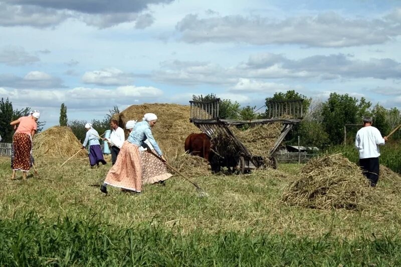 Взято из открытых источников интернета Яндекс.
