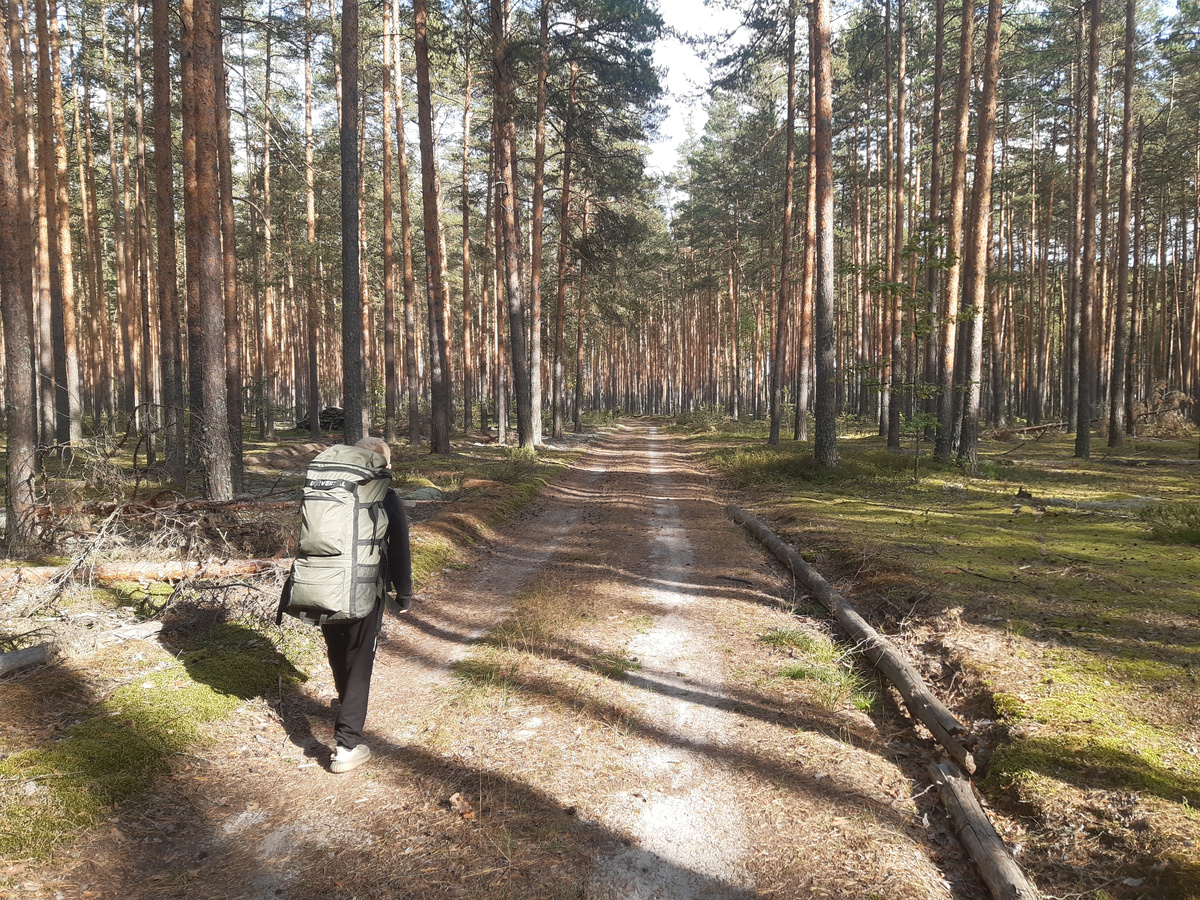 пешочком по лесу