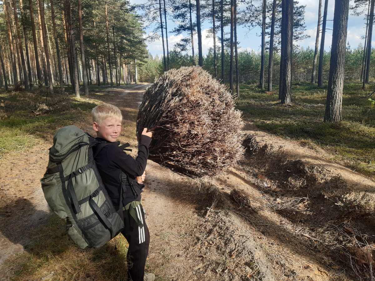 этакий шарик 