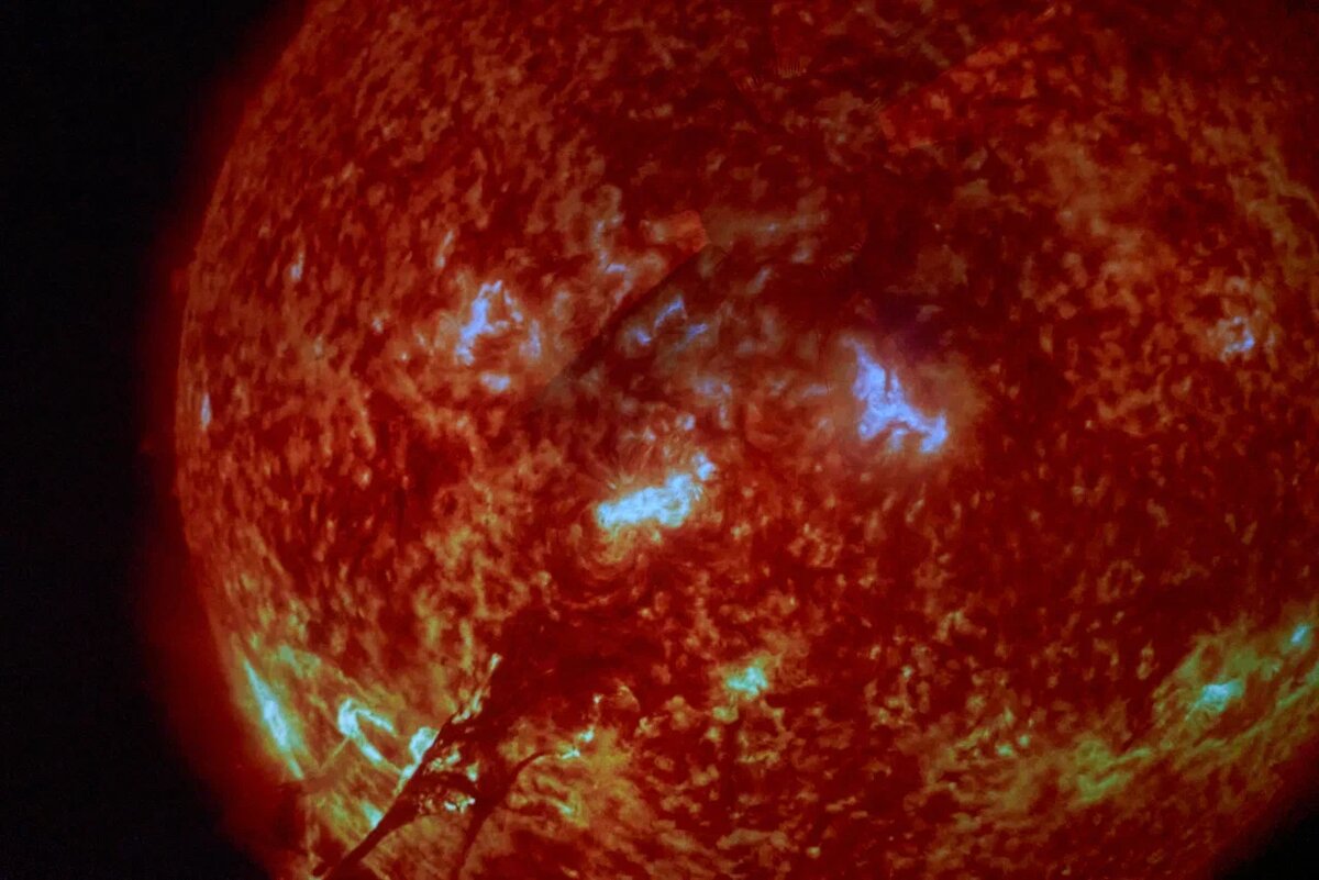    Фото: Анастасия Сибирякова