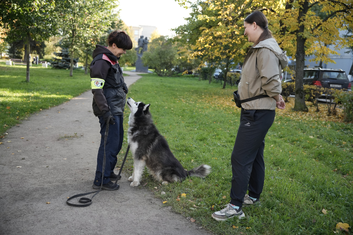 Животных, которых мы отдаём, всё равно навсегда — наши дети. Первый месяц ведём обязательный мониторинг: как прошёл первый день и первая ночь, первая неделя, есть ли вопросы у владельца, проблемы у собаки — всё обсуждаем и решаем. Как правило, к концу месяца собака уже полностью (или почти) адаптировалась. Но мы готовы всегда помочь. P.S На фото подопечный приюта собака Дюк. 