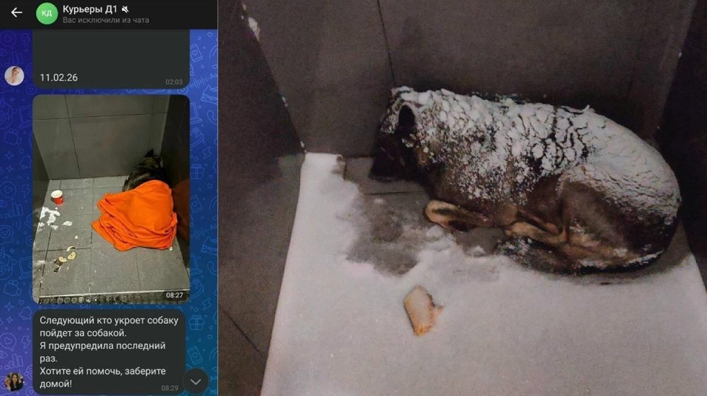 Додобоня. Фото: соцсети.