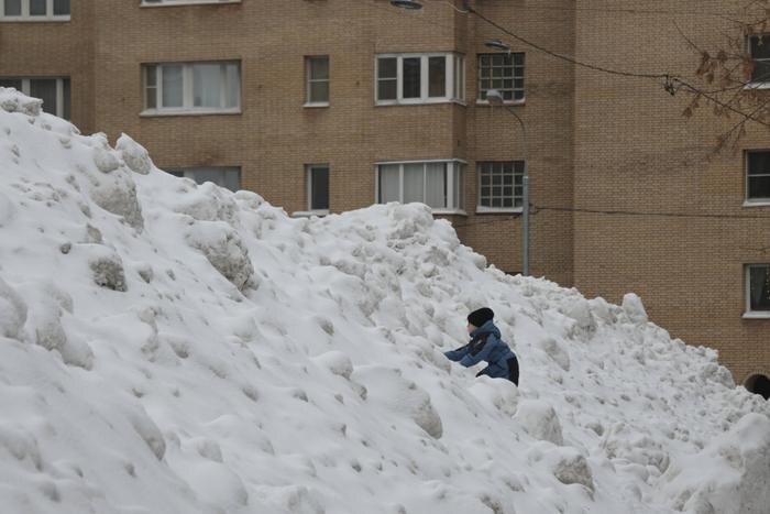 Обложка © Life.ru