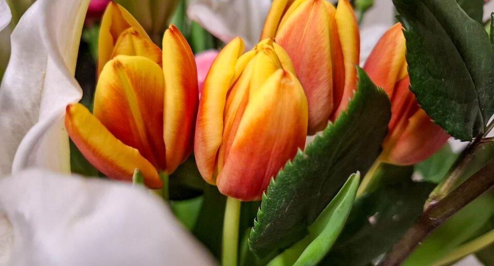    REGIONS/Юлия Габбасова