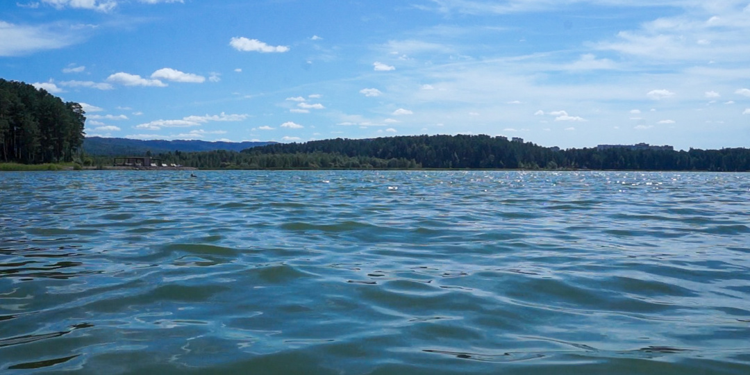 Кувшинки на озере