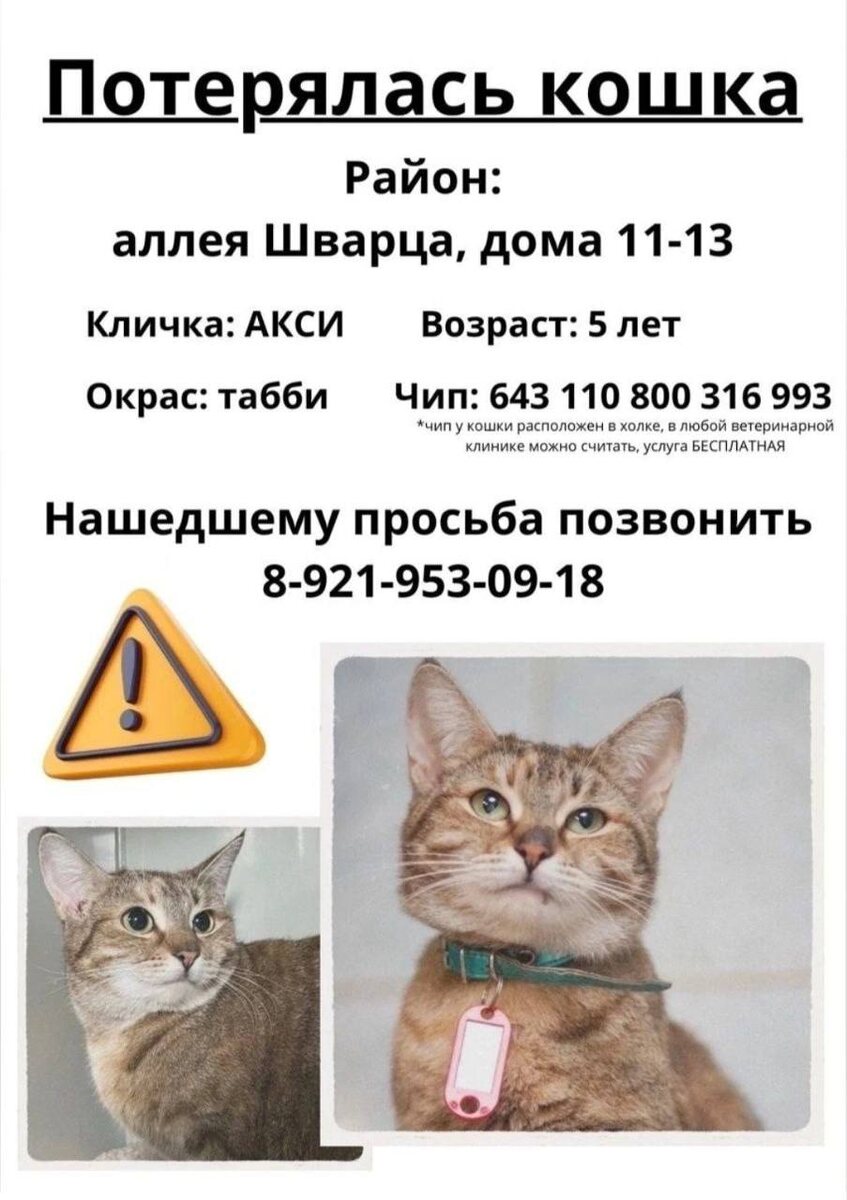 Может, вы видели когда-то данное объявление?