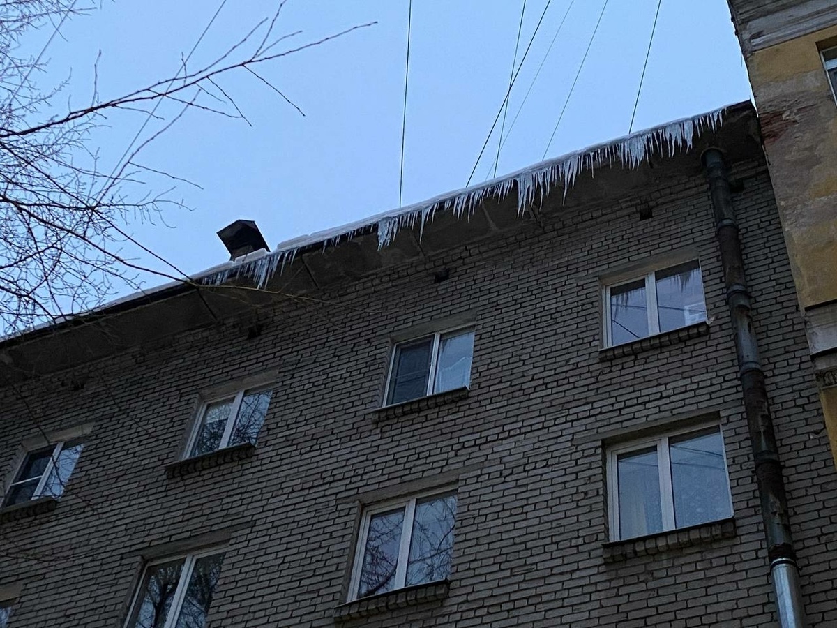 Фото: Neva.Today