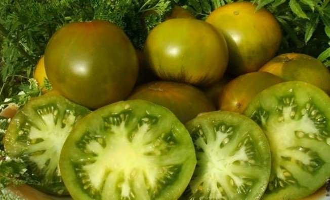 Томат Изумрудное яблоко