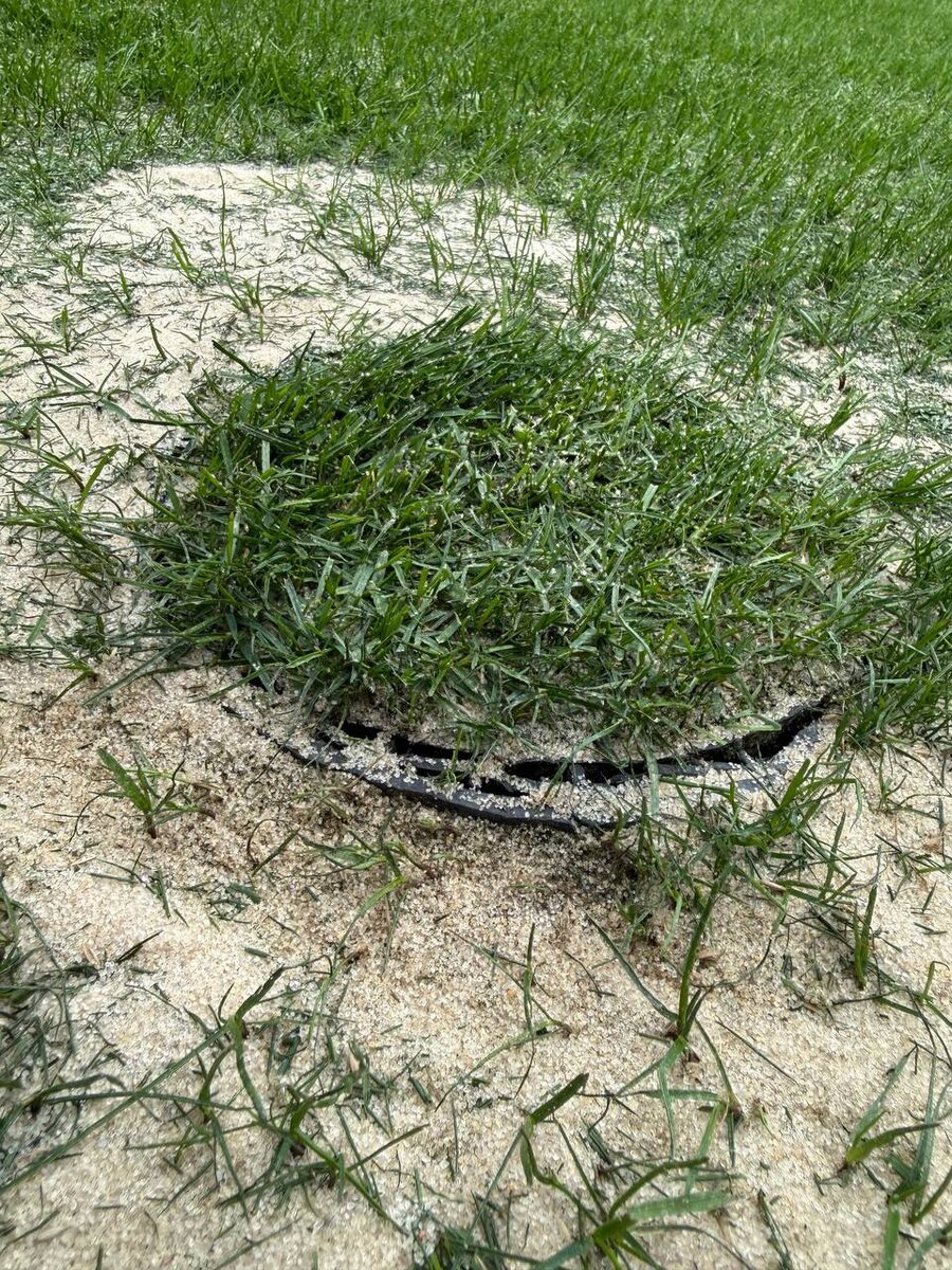 Вот такая вот красота на стадионе в Сочи