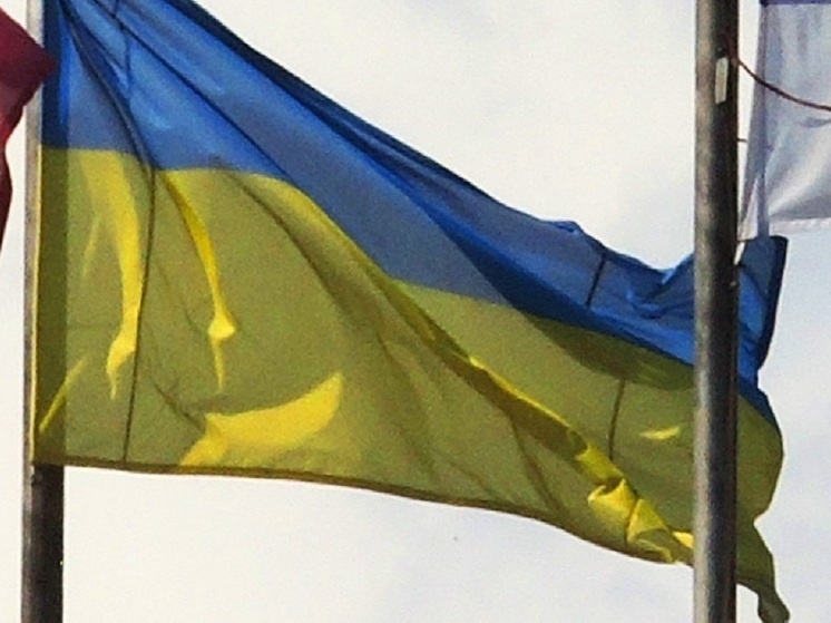   Наталья Мущинкина