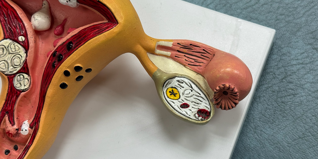 Как понять, что овуляция есть, даже если тесты показывают бледную полоску