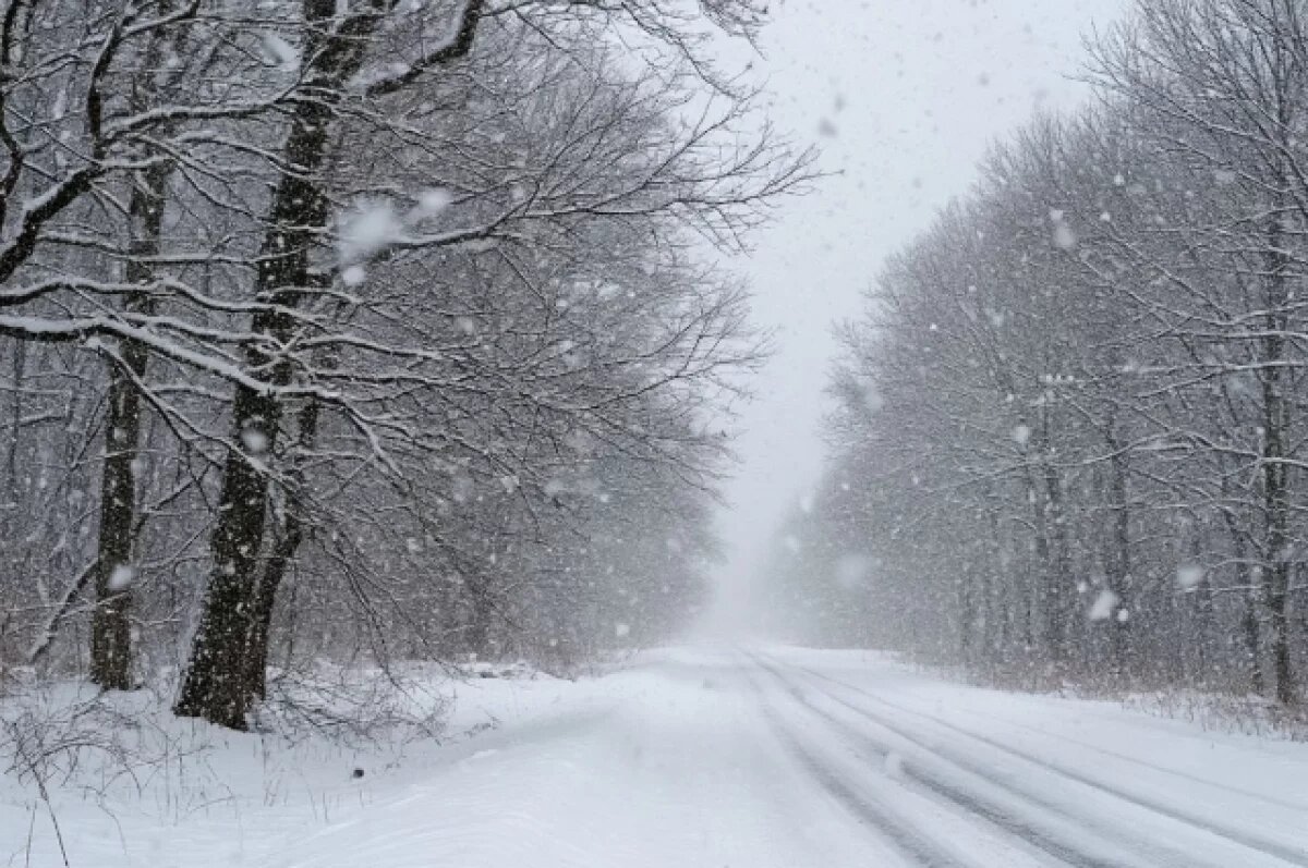    На Южном Урале ограничат проезд для автобусов и большегрузов по трассе М-5