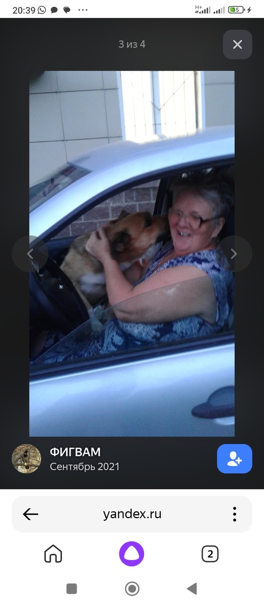 Мы с моим любимым псом в машине. Он очень любит ездить на ней. И вперед меня садится в неё, стоит открыть дверь. А то вдруг уеду одна. Фото других не нашлось. Сейчас я очень похудела. Он мой талисман в машине.