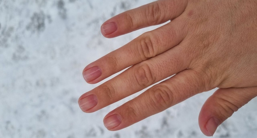    Фото Анастасии Дмитриевой