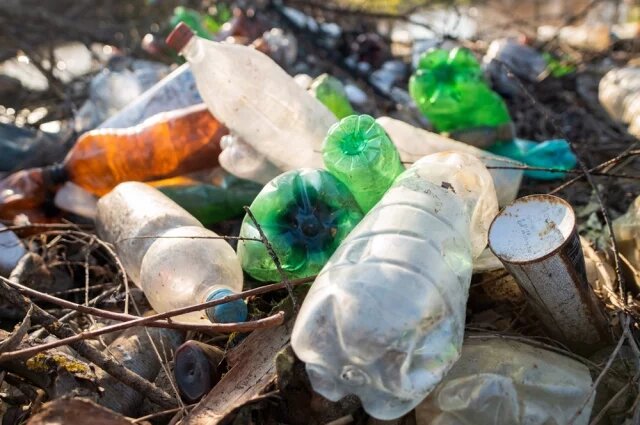    К чему снится мусор?