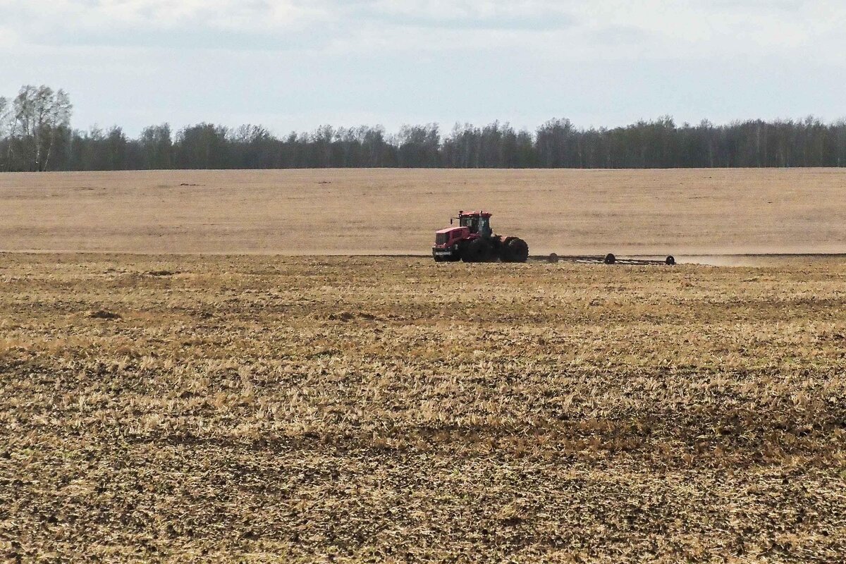 Экономика страны трансформировалась из индустриально-аграрной системы в модель выживания.  Фото: Фото: ФедералПресс / Антон Федулов