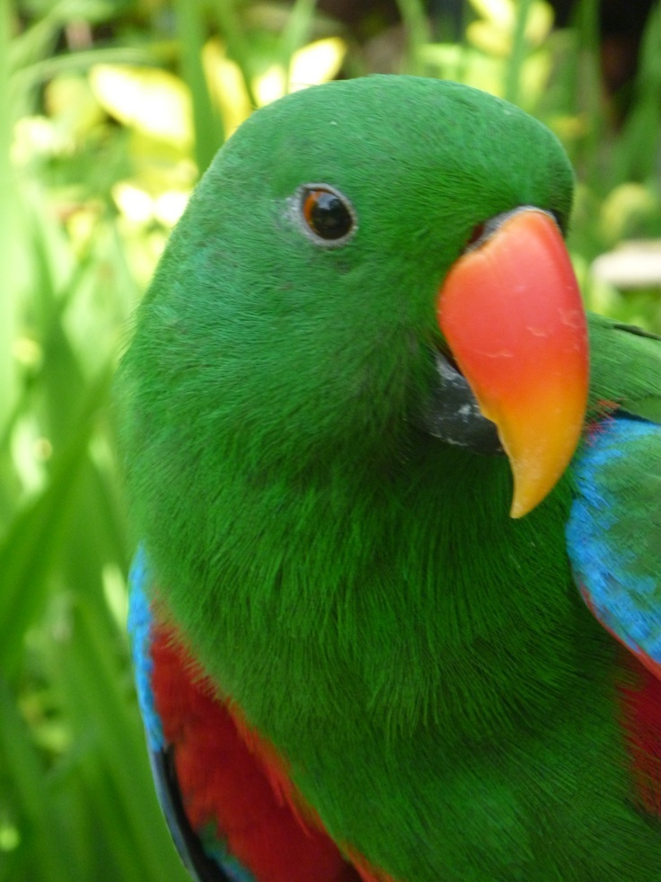 - Реджеп! Я – Реджеп! И я видел, как ты плакал, черноволосый!