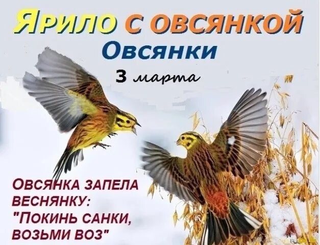 свобод.источник
