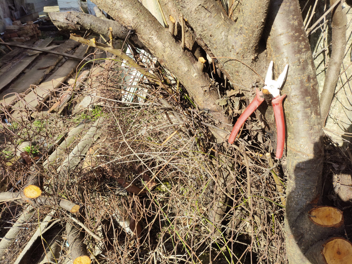 Страшноватенько...