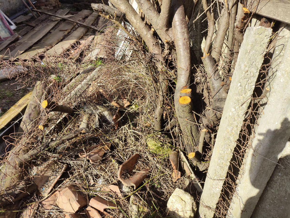 Ураа, я ее победила