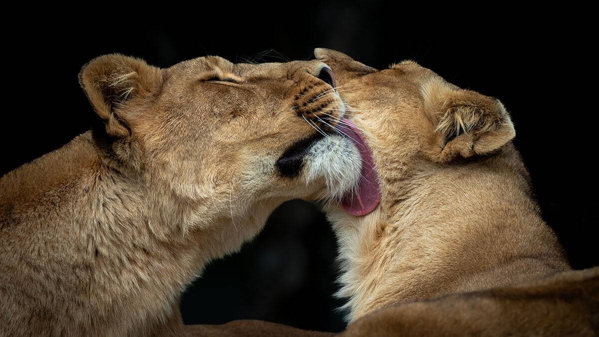    Фото: Shutterstock