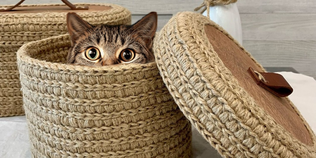 Исследования маркетплейсов выяснили какие подарки предпочитают женщины на 8 Марта