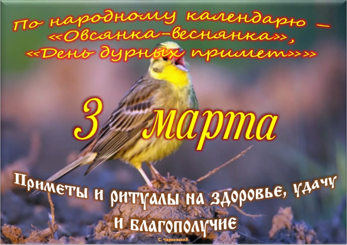 Встречаем новый день