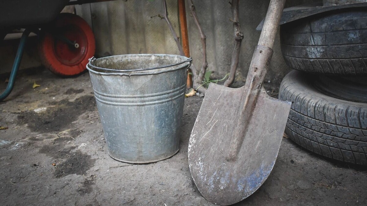    От каких растений на участке необходимо срочно избавиться   1MI