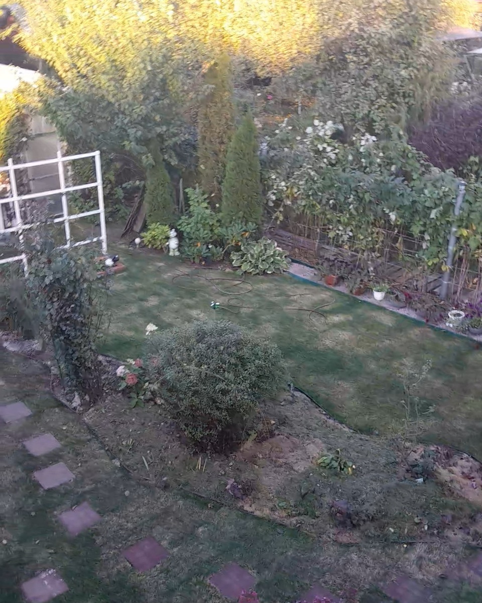 Фото осень 2025. Та самая полянка. Вид сверху