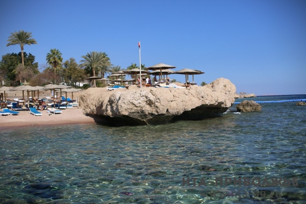    "Вывозных" рейсов туристов из ОАЭ не планируется