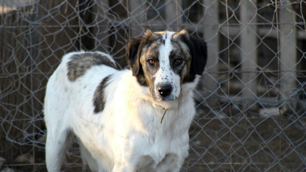    Фото несет иллюстративный характер