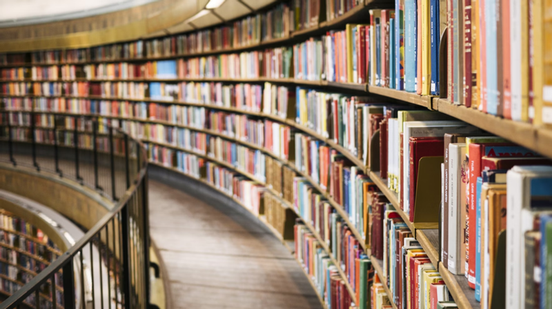     Susan Q Yin/Unsplash