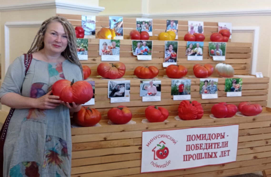 Очень крупные помидоры! В Минусинске за них машины дают. Но мы сейчас о другом.